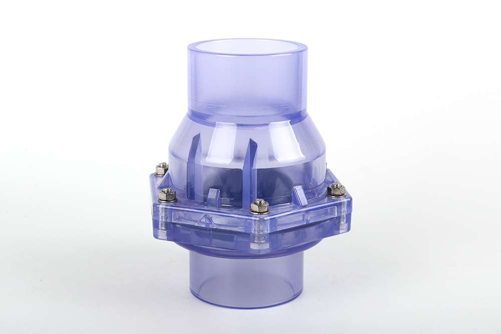 柳州透明翻板式止回阀